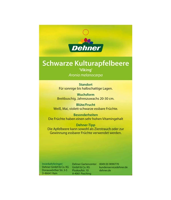 Apfelbeere, Aronia 'Viking' 5 Apfelbeere, Aronia 'Viking' – Bild 5