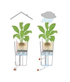 LECHUZA® CUBICO Color, All-in-One-Set -Gartenpflanzen Verkauf 001 InOutdoorLechuza 1