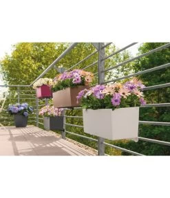 LECHUZA® Kunststoff-Kasten Balconera Color, Rechteckig -Gartenpflanzen Verkauf 1703222 1703230 1703263 1703297 1703305 1703313 WE MO 001 LechuzaBalconeraColorAllinOneSetBalkonkastenBlumenkasten