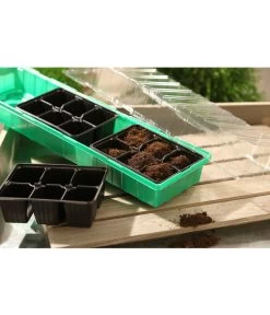 Dehner Zimmergewächshaus Frans, 54 X 15 X 12 Cm 6 Dehner Zimmergewächshaus Frans, 54 X 15 X 12 Cm -Gartenpflanzen Verkauf 207456 BildM 001 RombergZimmergewaechshausFransFensterbGewH54X15x12