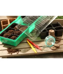 Dehner Zimmergewächshaus Frans, 54 X 15 X 12 Cm 7 Dehner Zimmergewächshaus Frans, 54 X 15 X 12 Cm -Gartenpflanzen Verkauf 207456 BildM 002 RombergZimmergewaechshausFransFensterbGewH54X15x12