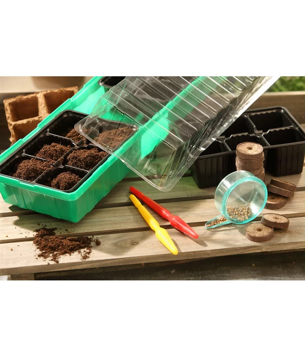 Dehner Zimmergewächshaus Frans, 54 X 15 X 12 Cm 4 Dehner Zimmergewächshaus Frans, 54 X 15 X 12 Cm – Bild 4