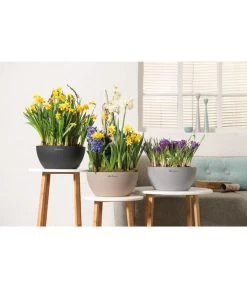 LECHUZA® Kunststoff-Schale Cubeto Stone, Rund -Gartenpflanzen Verkauf 2182541 2182582 2182590 2182566 2182574 2180354 WE MO 001 LECHUZACubetoColor