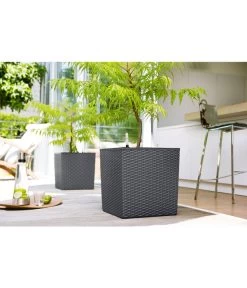 Dehner Kunststoff-Pflanztopf Dallas, Quadratisch, Ca. B35/H34/T35 Cm 9 Dehner Kunststoff-Pflanztopf Dallas, Quadratisch, Ca. B35/H34/T35 Cm -Gartenpflanzen Verkauf 2460038 2460046 2460053 WE MO 001 KunststoffTopf36x36x36cm