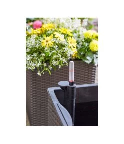 Dehner Kunststoff-Pflanztopf Dallas, Quadratisch, Ca. B35/H34/T35 Cm 10 Dehner Kunststoff-Pflanztopf Dallas, Quadratisch, Ca. B35/H34/T35 Cm -Gartenpflanzen Verkauf 2460046 2460053 2460038 WE DE 001 DehnerKunststoffTopfquadratisch36cmgranitbraunTopfBlumentopfPflanztopfPflanzgefaess