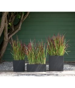 Dehner Kunststoff-Pflanztopf Dallas, Quadratisch, Ca. B35/H34/T35 Cm 11 Dehner Kunststoff-Pflanztopf Dallas, Quadratisch, Ca. B35/H34/T35 Cm -Gartenpflanzen Verkauf 2460046 WE MO 003 DehnerKunststoffPflanztopfDallasquadratisch