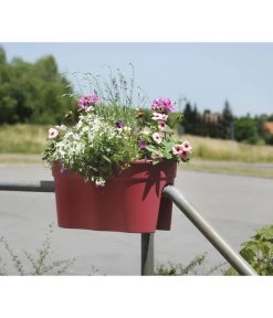 KHW Kunststoff-Geländertöpfe-Set, 57,5 X 28 X 27 Cm, 2-teilig 6 KHW Kunststoff-Geländertöpfe-Set, 57,5 X 28 X 27 Cm, 2-teilig -Gartenpflanzen Verkauf 2550218 WE MO 001 KHWKunststoffGelaendertopf2teiligpink