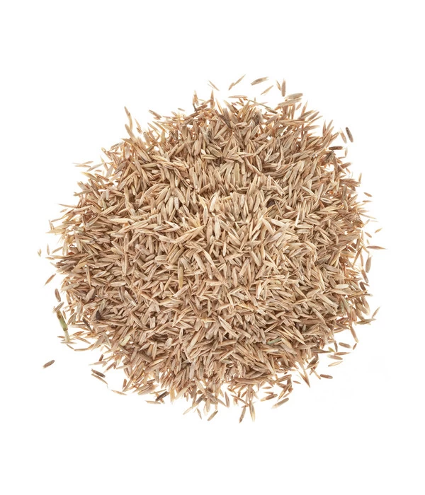 Wolf-Garten Wolf Saatgut Strapazier-Rasen 2 Wolf-Garten Wolf Saatgut Strapazier-Rasen – Bild 2