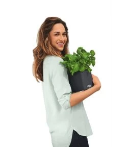 LECHUZA® CUBE Color, All-in-One Set 9 LECHUZA® CUBE Color, All-in-One Set -Gartenpflanzen Verkauf 2843480 WE MO 002 CubeColor14GrauLechuza