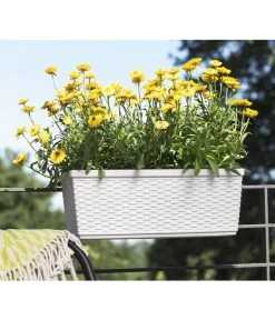 Dehner Kunststoff-Flechtkasten Dallas, Rechteckig 11 Dehner Kunststoff-Flechtkasten Dallas, Rechteckig -Gartenpflanzen Verkauf 2889723 WE FS 002 CasaMash weiss