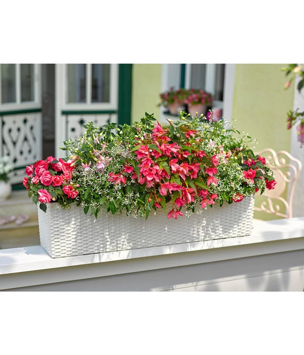 Dehner Kunststoff-Flechtkasten Dallas, Rechteckig 5 Dehner Kunststoff-Flechtkasten Dallas, Rechteckig – Bild 5