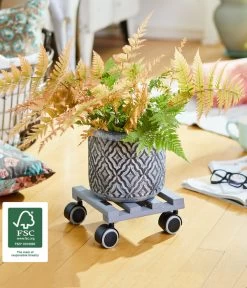 Wagner Pflanzenroller Creo, Ø 19 Cm 15 Wagner Pflanzenroller Creo, Ø 19 Cm -Gartenpflanzen Verkauf 2913945 WE MO 002 MULTIROLLERCREO