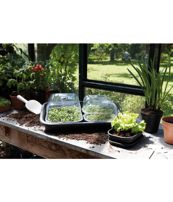 Elho Anzuchtschale M 2 Elho Anzuchtschale M – Bild 2