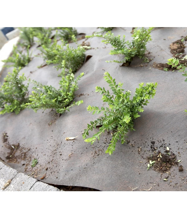 Dehner Rindenmulch-Unterlage, Ca. L300/B200 Cm 3 Dehner Rindenmulch-Unterlage, Ca. L300/B200 Cm – Bild 3