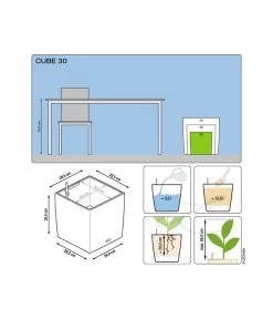 LECHUZA® CUBE, All-in-One Set -Gartenpflanzen Verkauf 3179884 3180098 3180056 3180064 3179850 3174497 WE DE 001 CubePremium30