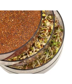 Dehner Sprossenhaus, 4 Schalen 6 Dehner Sprossenhaus, 4 Schalen -Gartenpflanzen Verkauf 3677101 WE MO 002 DehnerSprossenhausKeimsprossen