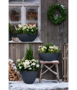 Dehner Kunststoff-Schale Miami, Oval, Anthrazit, Ca. B52/H20/T23 Cm 7 Dehner Kunststoff-Schale Miami, Oval, Anthrazit, Ca. B52/H20/T23 Cm -Gartenpflanzen Verkauf 3694254 3693926 WE MO 001 KunststoffTopfStonekonischanthrazit