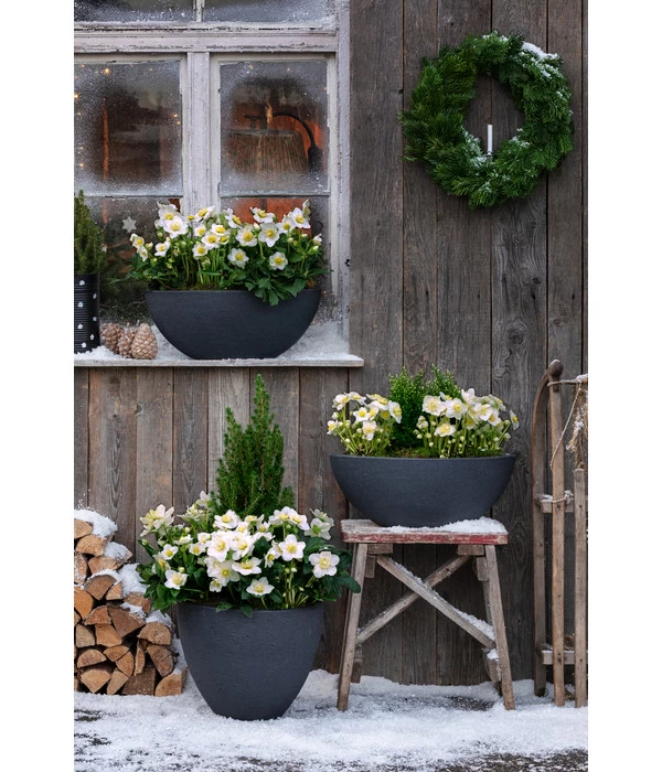 Dehner Kunststoff-Schale Miami, Oval, Anthrazit, Ca. B52/H20/T23 Cm 3 Dehner Kunststoff-Schale Miami, Oval, Anthrazit, Ca. B52/H20/T23 Cm – Bild 3