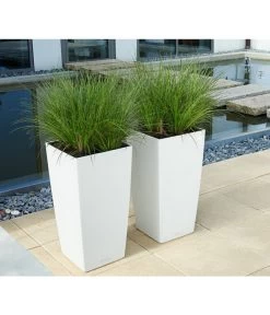 LECHUZA® CUBICO Color, All-in-One-Set -Gartenpflanzen Verkauf 3698362 BildM 001 LechuzaCubicoCubicoColor22KplWeiss