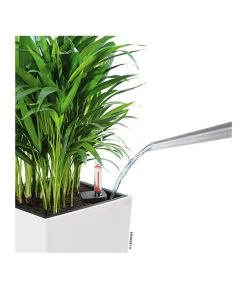 LECHUZA® CUBICO Color, All-in-One-Set -Gartenpflanzen Verkauf 3698362 WE DE 001 Cubicocolor22WeissLechuza