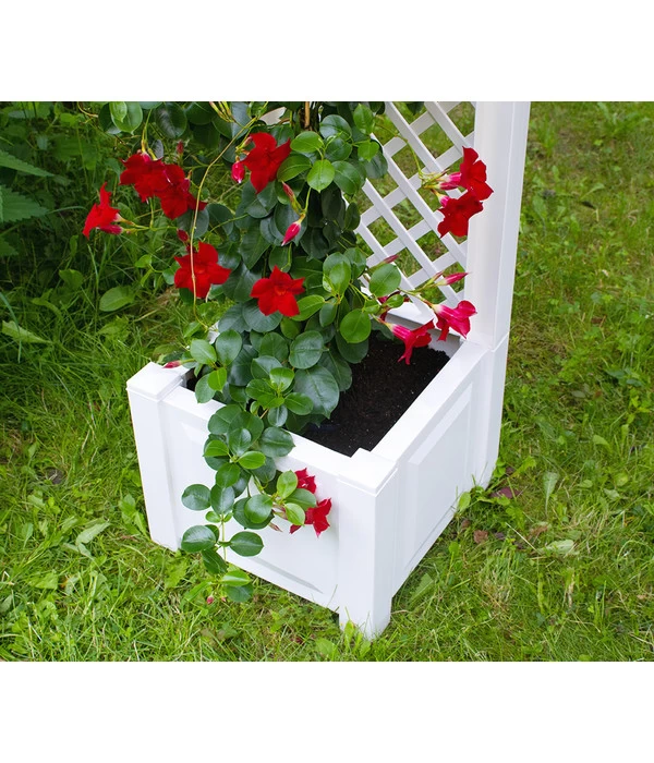 KHW Kunststoff-Pflanzkasten Mit Spalier, 43 X 43 X 140 Cm 6 KHW Kunststoff-Pflanzkasten Mit Spalier, 43 X 43 X 140 Cm – Bild 6