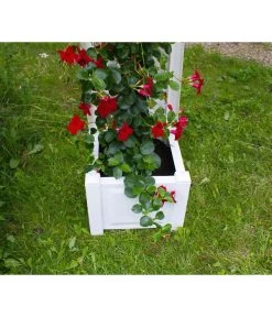 KHW Kunststoff-Pflanzkasten Mit Spalier, 43 X 43 X 140 Cm 15 KHW Kunststoff-Pflanzkasten Mit Spalier, 43 X 43 X 140 Cm -Gartenpflanzen Verkauf 3913688 WE DE 005 KastenSpalier43weiss