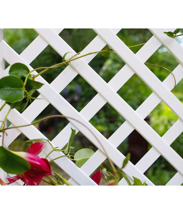 KHW Kunststoff-Pflanzkasten Mit Spalier, 43 X 43 X 140 Cm 8 KHW Kunststoff-Pflanzkasten Mit Spalier, 43 X 43 X 140 Cm – Bild 8