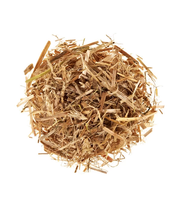 Pilzmännchen Bio Pilzzuchtset Austernpilz 2 Pilzmännchen Bio Pilzzuchtset Austernpilz – Bild 2