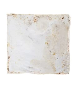 Pilzmännchen Bio Pilzzuchtset Austernpilz 5 Pilzmännchen Bio Pilzzuchtset Austernpilz -Gartenpflanzen Verkauf 3940285 BildD 002 PilzmaennchenBioHomePilzzuchtsetAusternpilzPilzbrutAusternpilzSet