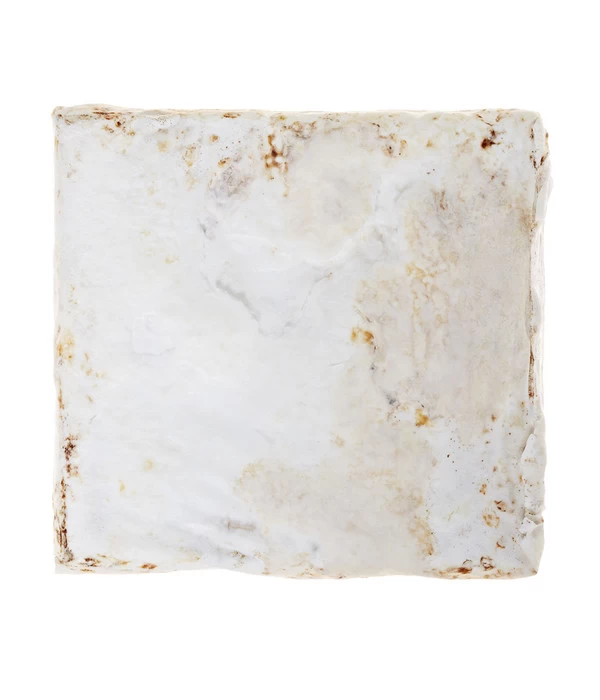 Pilzmännchen Bio Pilzzuchtset Austernpilz 3 Pilzmännchen Bio Pilzzuchtset Austernpilz – Bild 3