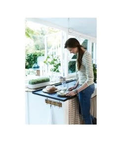 Elho Anzuchthaube L -Gartenpflanzen Verkauf 4026704 WE MO 001 AnzuchthausLTransparentElho