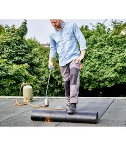 CFH Abflammgerät PM-GAS F10 10 CFH Abflammgerät PM-GAS F10 -Gartenpflanzen Verkauf 4058699 WE MO 007 Abflammgeraet