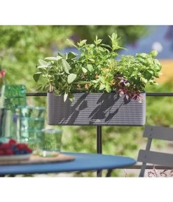 LECHUZA® BALCONISSIMA Color, All-in-One-Set, Ca. B40/H14/T14 Cm -Gartenpflanzen Verkauf 4065538 PR MO 002 Balconissima40Anthrazit
