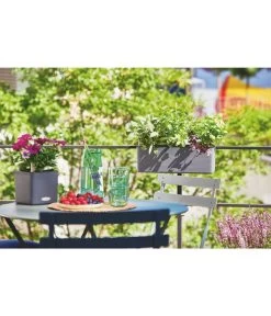 LECHUZA® BALCONISSIMA Color, All-in-One-Set, Ca. B40/H14/T14 Cm -Gartenpflanzen Verkauf 4065538 PR MO 004 Balconissima40Anthrazit