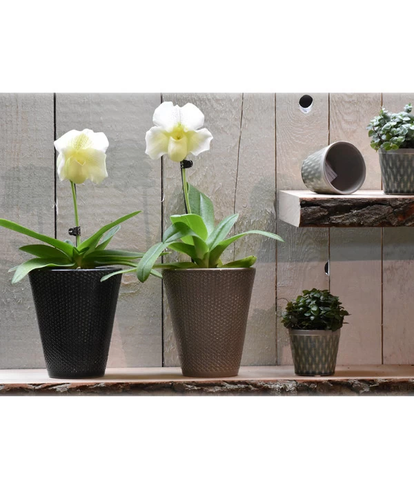 Dehner Keramik-Übertopf Elliot, Konisch, Ca. Ø14 Cm 3 Dehner Keramik-Übertopf Elliot, Konisch, Ca. Ø14 Cm – Bild 3