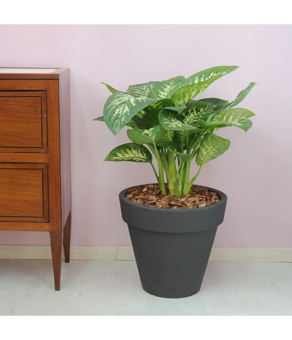 Farmet Kunststoff-Topf-Set Pegasus, Konisch, Anthrazit, 2-teilig 2 Farmet Kunststoff-Topf-Set Pegasus, Konisch, Anthrazit, 2-teilig – Bild 2