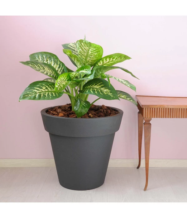 Farmet Kunststoff-Topf-Set Pegasus, Konisch, Anthrazit, 2-teilig 3 Farmet Kunststoff-Topf-Set Pegasus, Konisch, Anthrazit, 2-teilig – Bild 3