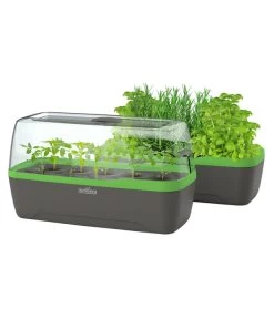 Romberg BoQube Gewächshaus -Gartenpflanzen Verkauf 4299970 WE FS 006 BoQubeGewaechshausZimmergewaechshaus