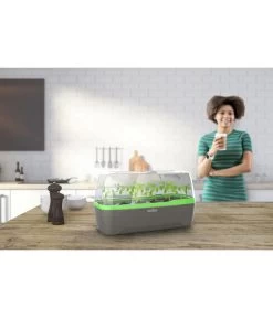 Romberg BoQube Gewächshaus -Gartenpflanzen Verkauf 4299970 WE MO 001 RombergGewaechshausZimmergewaechshausAnzucht