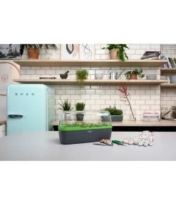 Romberg BoQube Gewächshaus -Gartenpflanzen Verkauf 4299970 WE MO 002 BoQubeGewaechshausZimmergewaechshaus