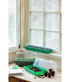 Romberg Zimmergewächshaus 5 Romberg Zimmergewächshaus -Gartenpflanzen Verkauf 4299970 WE MO 004 BoQubeZimmergewaechshaus