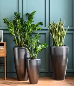 Dehner Keramik-Vase Lissabon Mit LECHUZA® Bewässerungssystem, Konisch -Gartenpflanzen Verkauf 4448833 4448858 4448841 WE MO 002 PflanzvaseLissabonAnthrazit