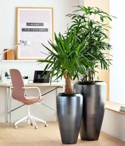 Dehner Keramik-Vase Lissabon Mit LECHUZA® Bewässerungssystem, Konisch -Gartenpflanzen Verkauf 4448833 WE MO 001 KeramikVaseLissabon