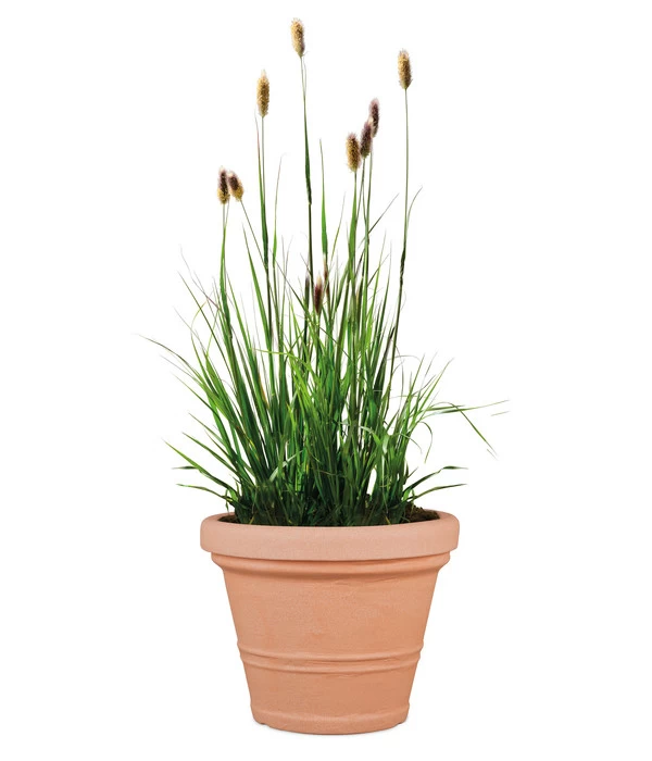 Scheurich Kunststoff-Topf Claudia, Rund 2 Scheurich Kunststoff-Topf Claudia, Rund – Bild 2