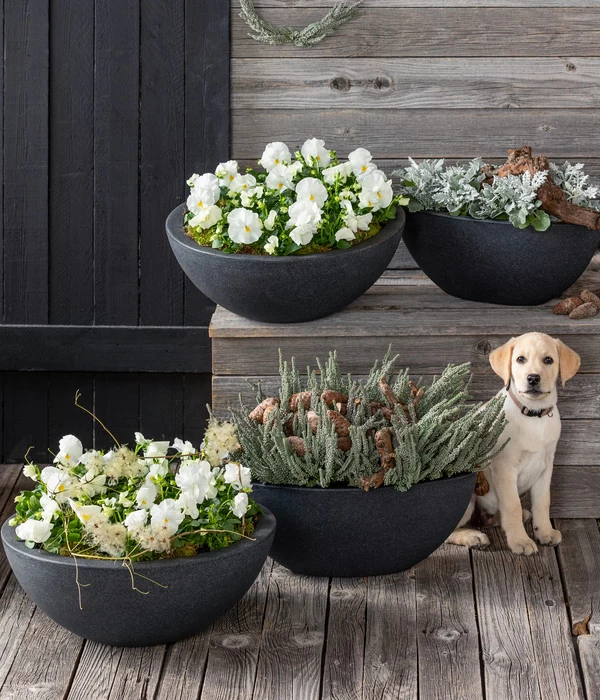 Dehner Kunststoff-Schale Miami, Oval, Anthrazit, Ca. B52/H20/T23 Cm 2 Dehner Kunststoff-Schale Miami, Oval, Anthrazit, Ca. B52/H20/T23 Cm – Bild 2