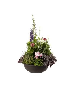 Vasar Kunststoff-Schale Aurora, Rund, Terrakotta 5 Vasar Kunststoff-Schale Aurora, Rund, Terrakotta -Gartenpflanzen Verkauf 5187752 BildFS 001 KunststoffschaleAuroraBraunBepflanztHerbstGross