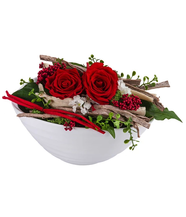 Dehner Keramik-Jardiniere Mit Longlife-Rose, Rot, Ca. B23/H15/T12 Cm 1 Dehner Keramik-Jardiniere Mit Longlife-Rose, Rot, Ca. B23/H15/T12 Cm