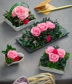 Dehner Keramik-Schale Mit Longlife-Rose Zina, Ca. B9,5/H6 Cm -Gartenpflanzen Verkauf 6380927 6537641 6537716 6537708 WE MO 001 LonglifeArrangements