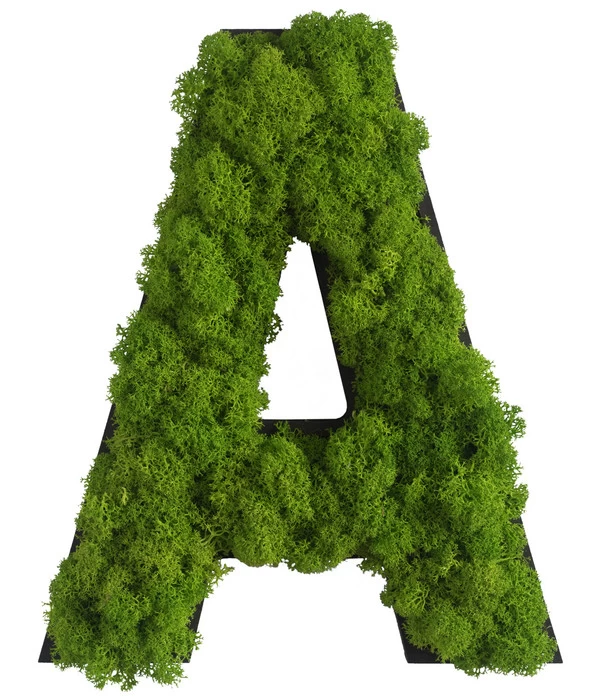 StyleGREEN Buchstaben Aus Islandmoos, Ca. H25 Cm 1 StyleGREEN Buchstaben Aus Islandmoos, Ca. H25 Cm