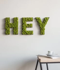 StyleGREEN Buchstaben Aus Islandmoos, Ca. H25 Cm 9 StyleGREEN Buchstaben Aus Islandmoos, Ca. H25 Cm -Gartenpflanzen Verkauf 6429435 WE MO 003 BuchstabenIslandmoosHey
